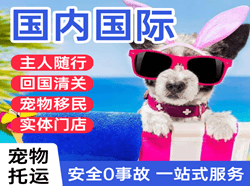 富蕴可可托海机场快递国际宠物托运 【国